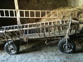 Žebřiňák na seno
