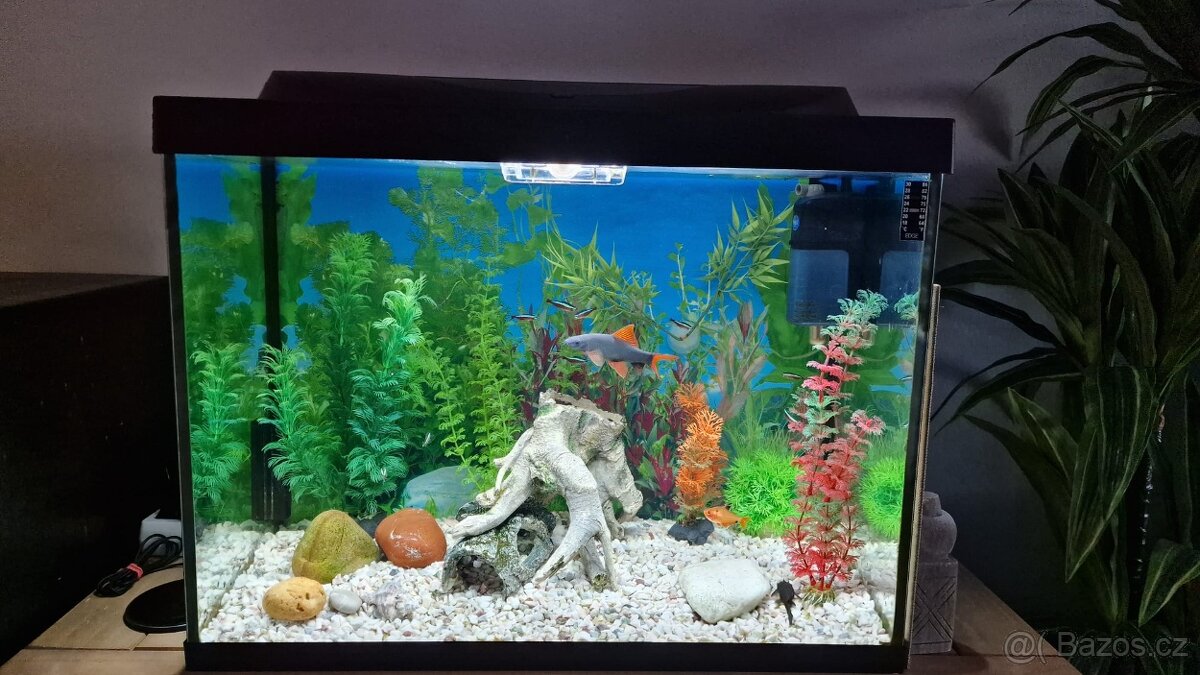 Akvárium obsah 80 l
