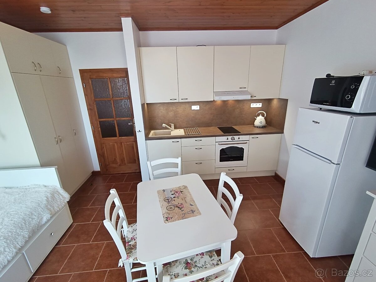 Pronájem 1+kk, Medlov, Brno - venkov