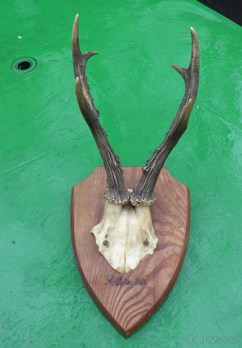 Parohy troje velmi staré