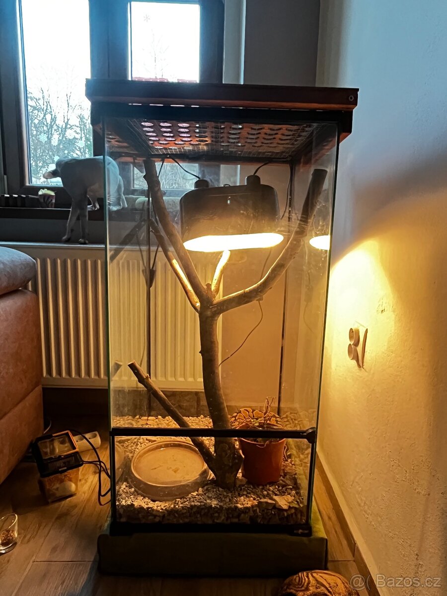 Vyměním nebo prodam