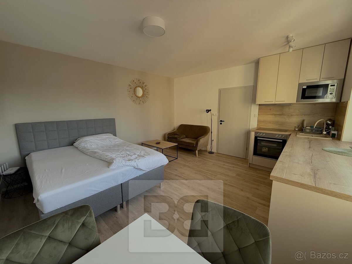 Pronájem bytu 1+kk 27 m², České Budějovice 6, ev.č. N08663