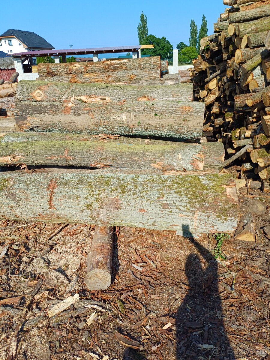 Dubová kulatina