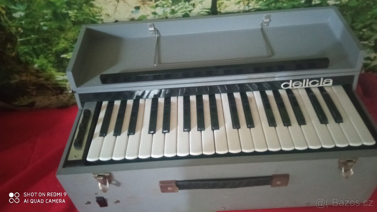 Elektrická harmonika.
