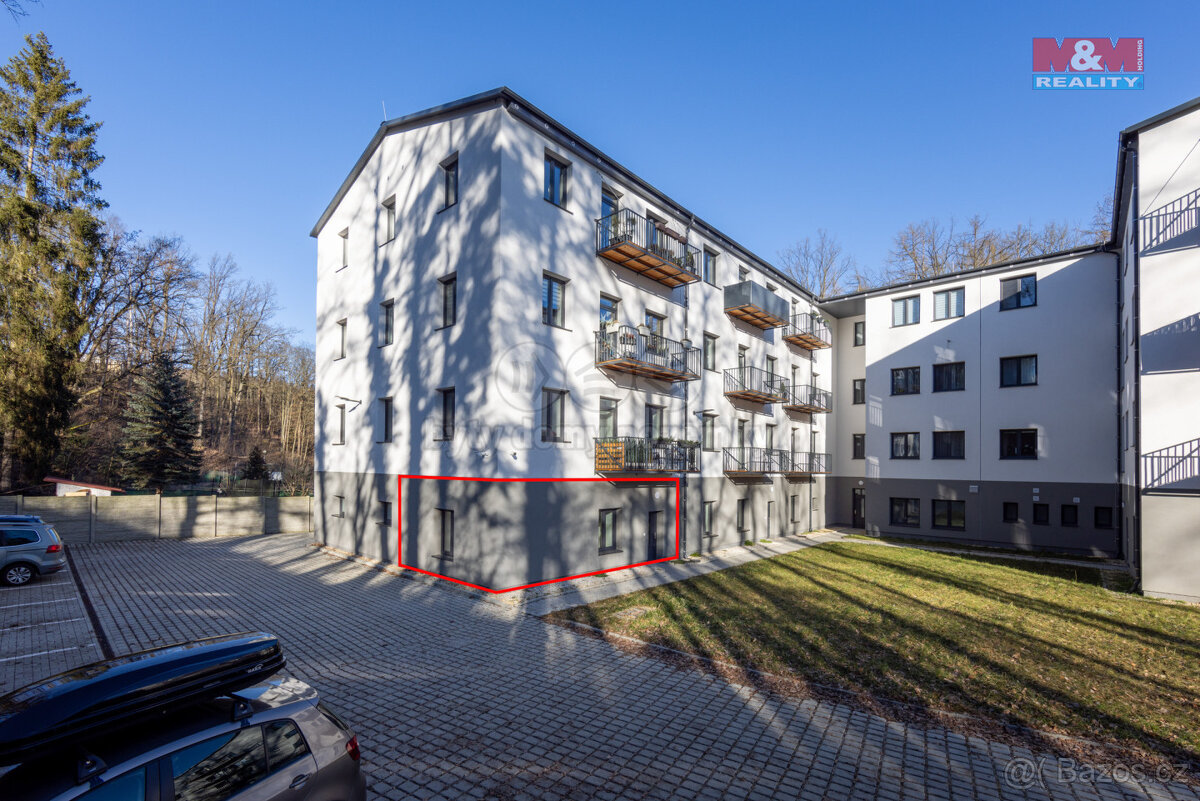 Pronájem obchod a služby, 45 m², Cheb, ul. Břehnická