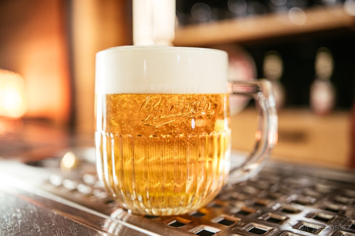 Budvar - pivni sklo 0,5L Rony Plesl