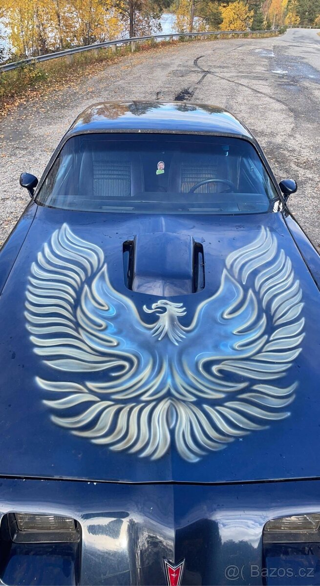 Pontiac Firebird 5.0 V8 1981