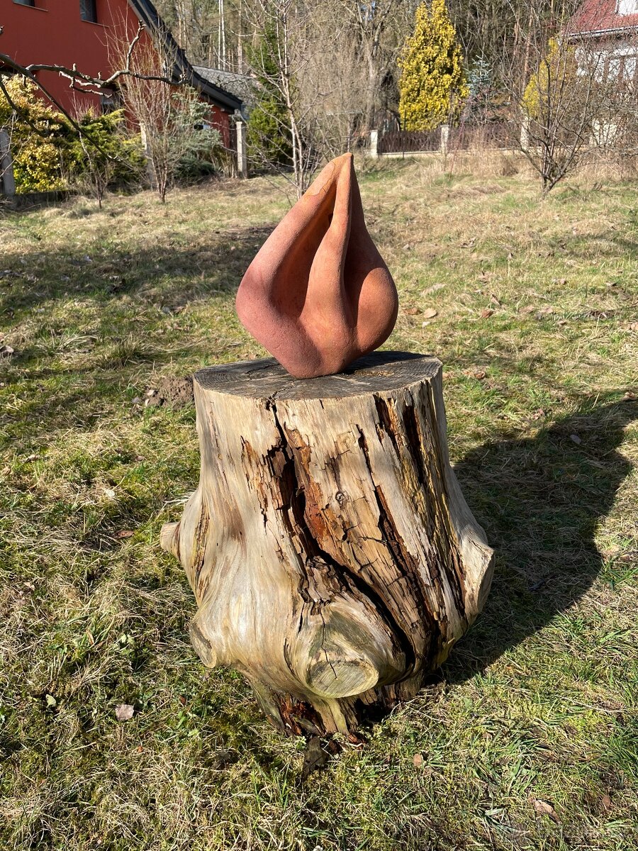 Kamenný plamen