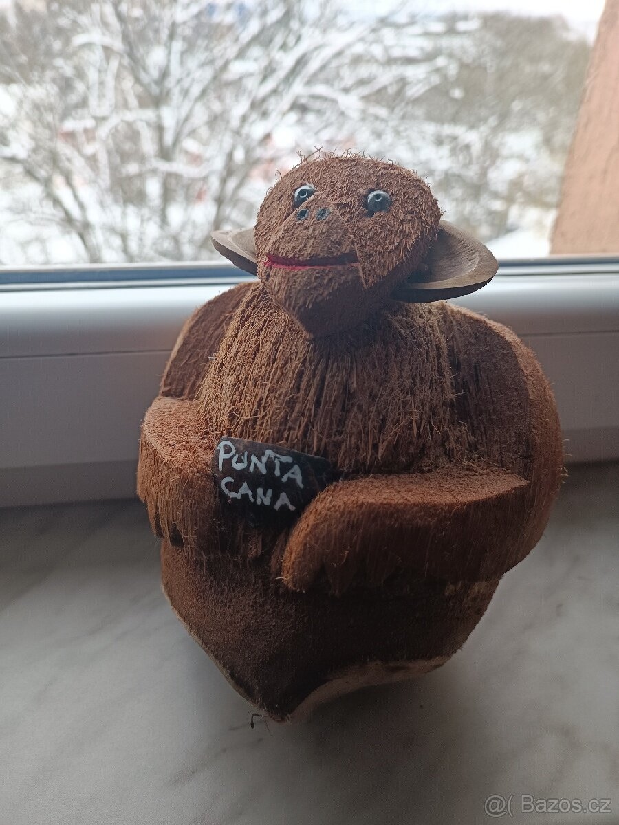 Opice z kokosu