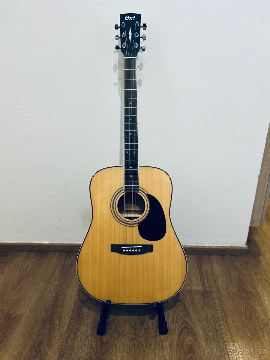 Cort AD 880 NS