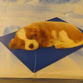 NOVÁ CHLADÍCÍ PODLOŽKA PECUTE vel. M - 65x50 cm