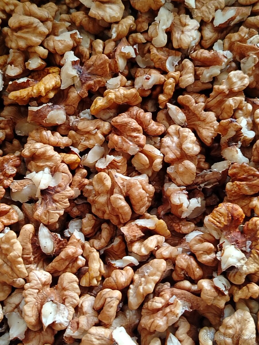 VLAŠSKÉ OŘECHY - VYLOUPANÉ - LETOŠNÍ - 2025.