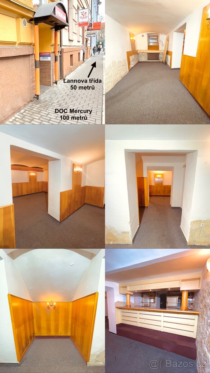 Pronájem nebytových prostor