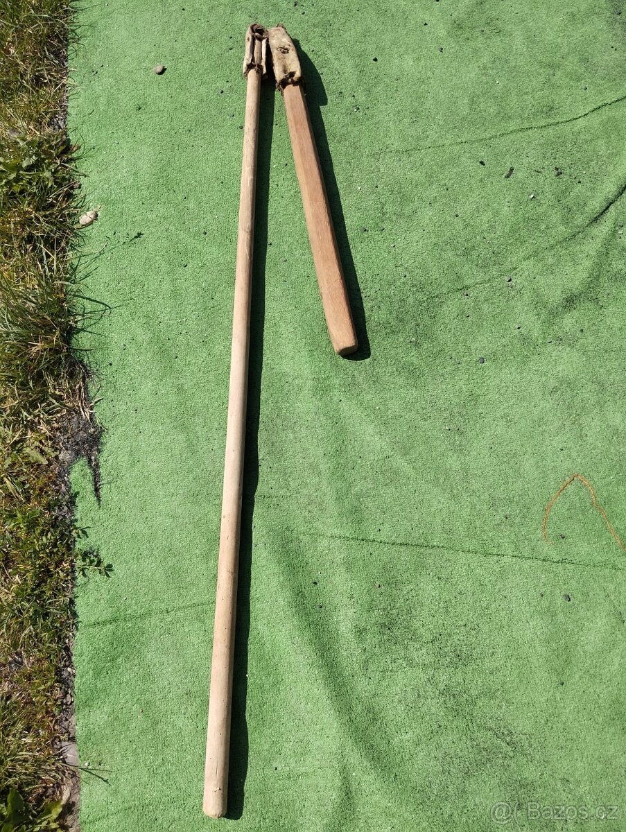 Cep