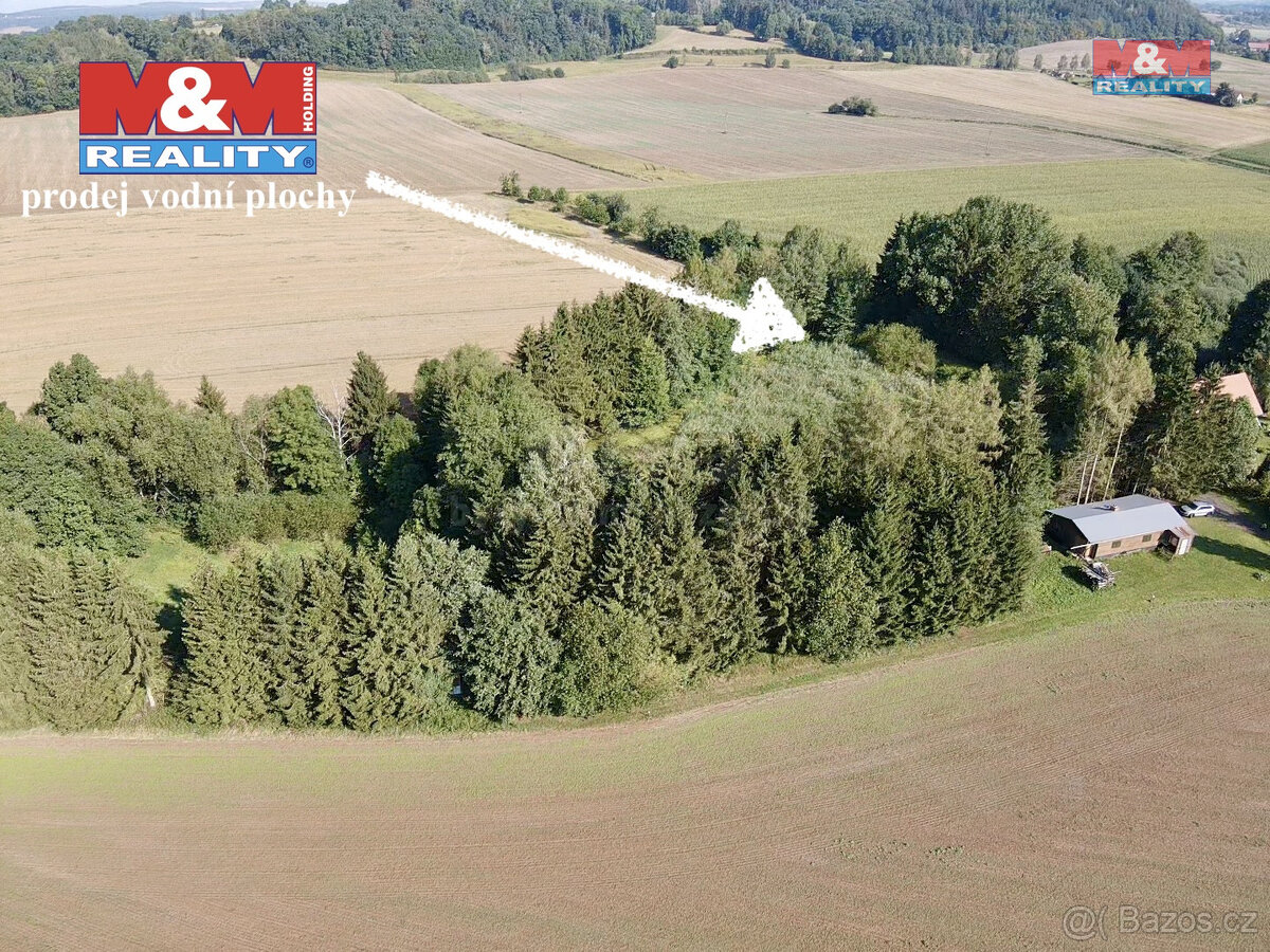 Prodej vodní plochy, 5965 m², Rychnov nad Kněžnou