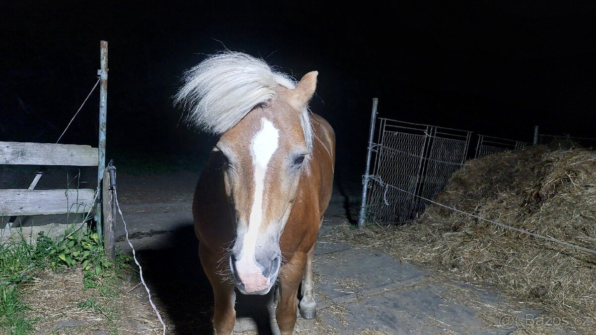 Mini hors