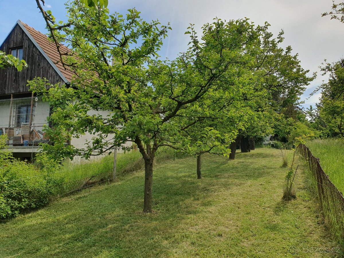 Zahrada 1 403 m2 Brno - Brněnské Ivanovice