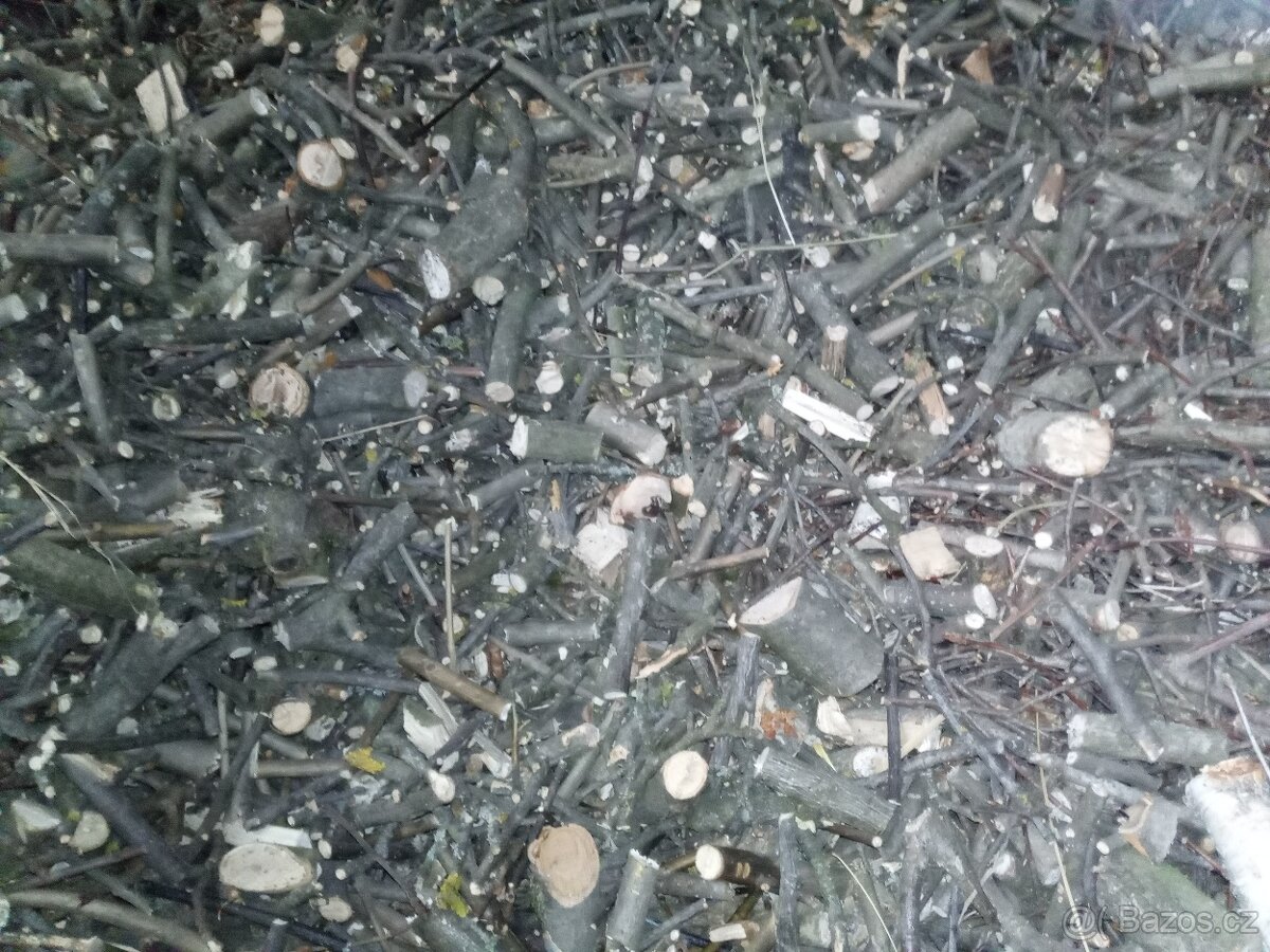 Štěpky -špalíky