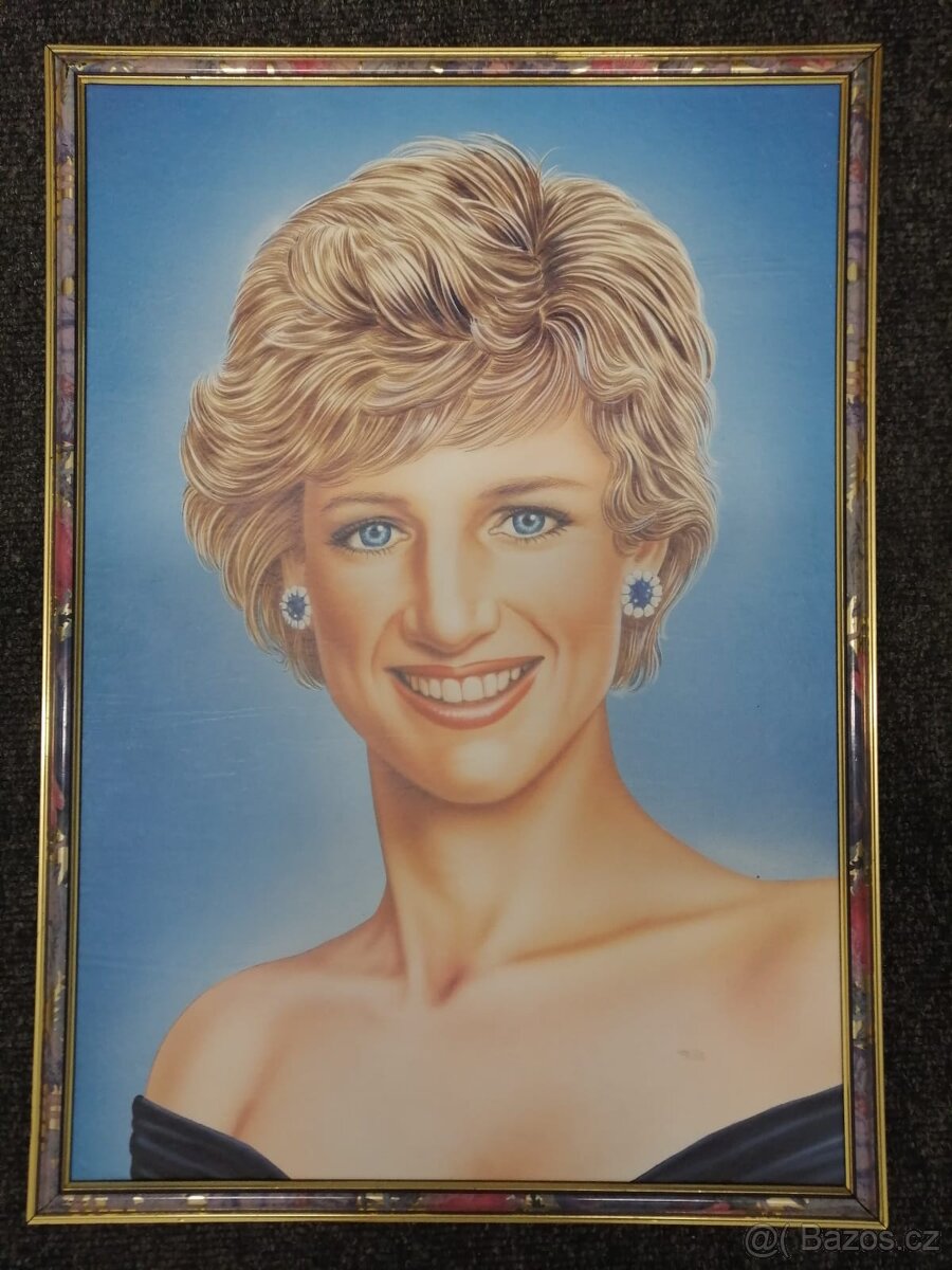 Prodám obraz princezny Diany
