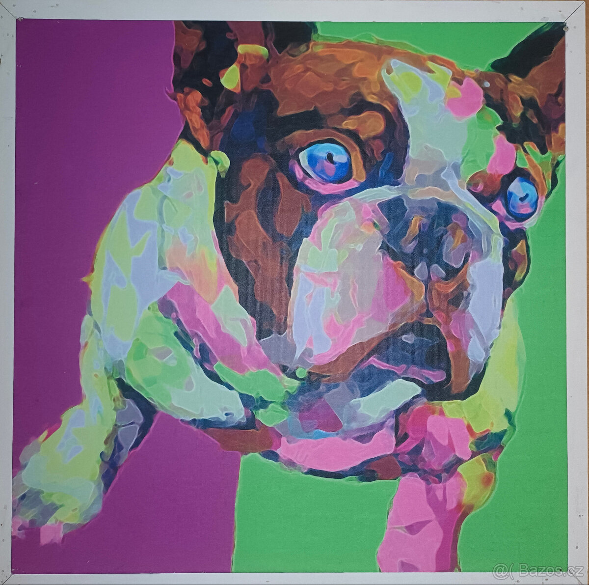 Prodám obraz buldoček