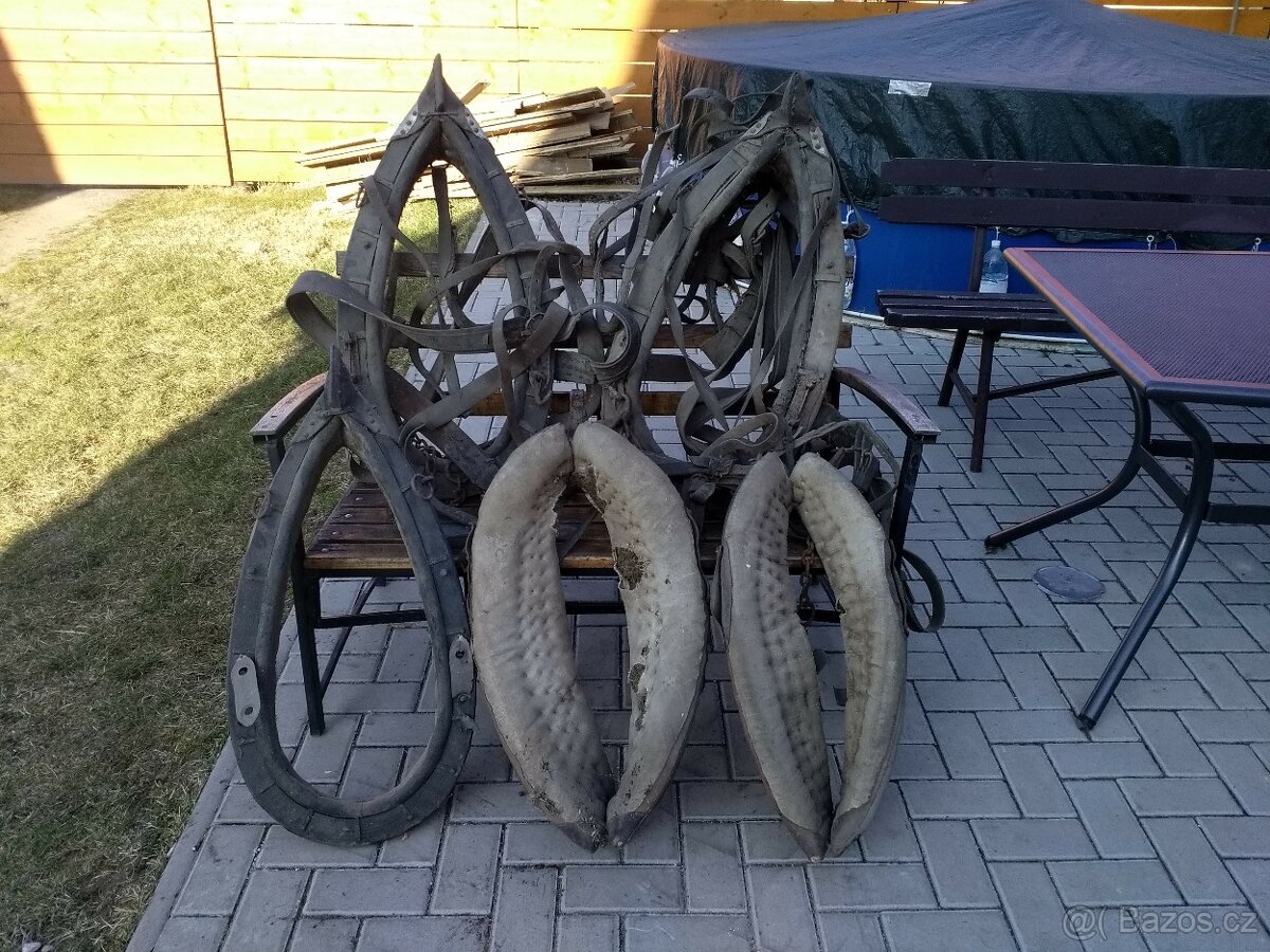 Koňské ohlávky
