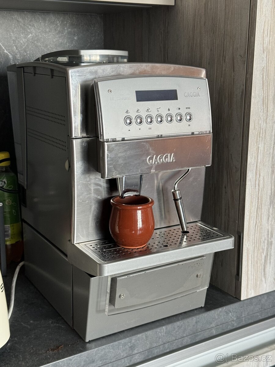 Gaggia Titanium