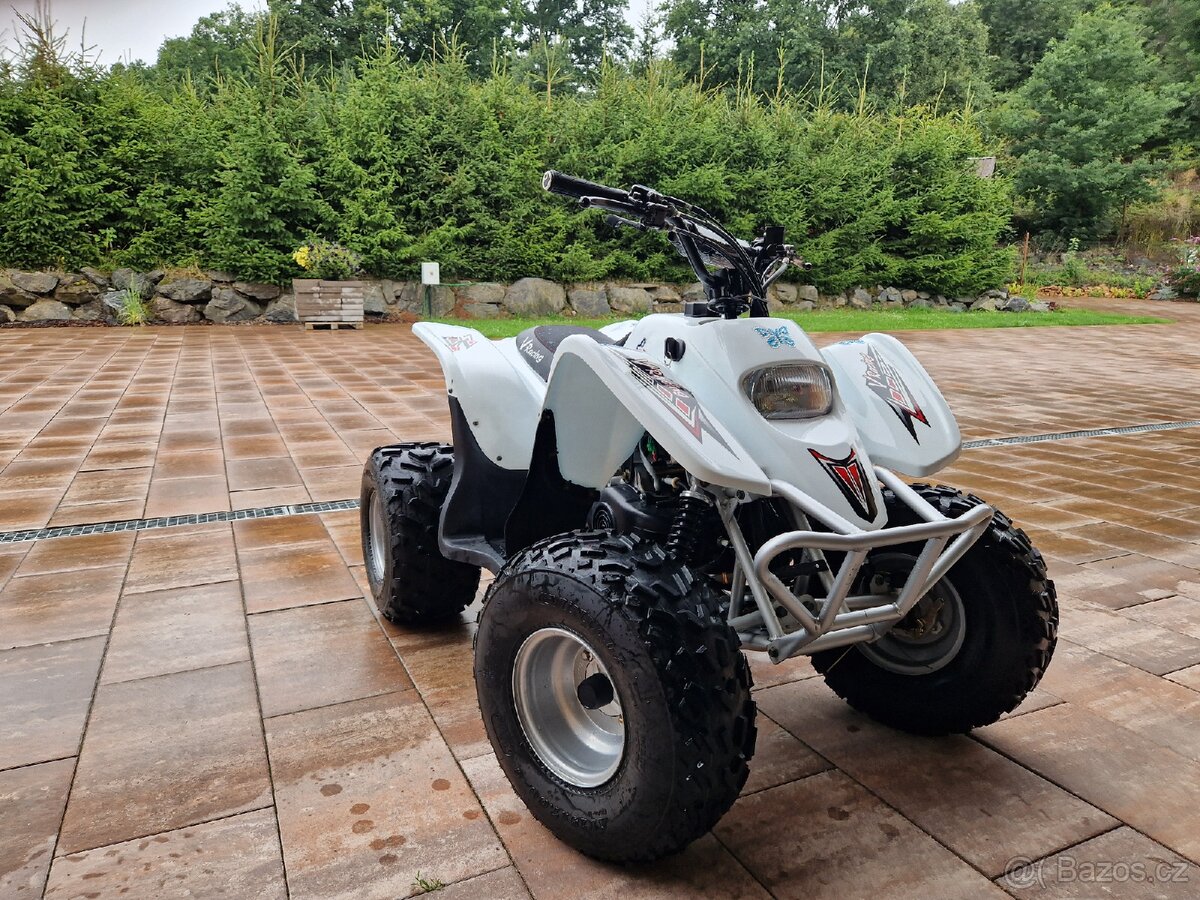 Dětská čtyřkolka ACCESS DDR 100
