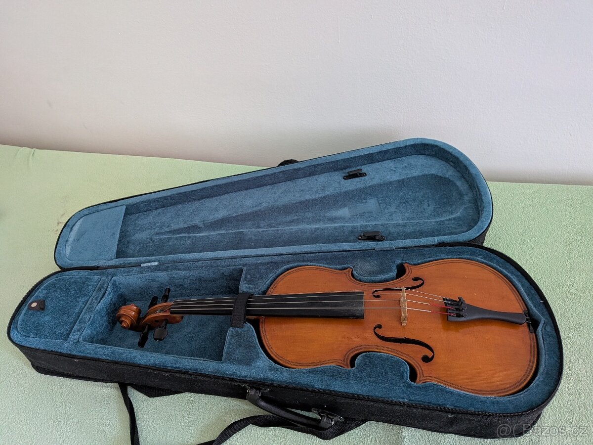 Viola 40 cm