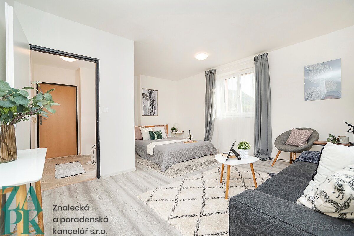 Pronájem bytu 1+kk, Ústí nad Labem - Střekov, ev.č. 00839