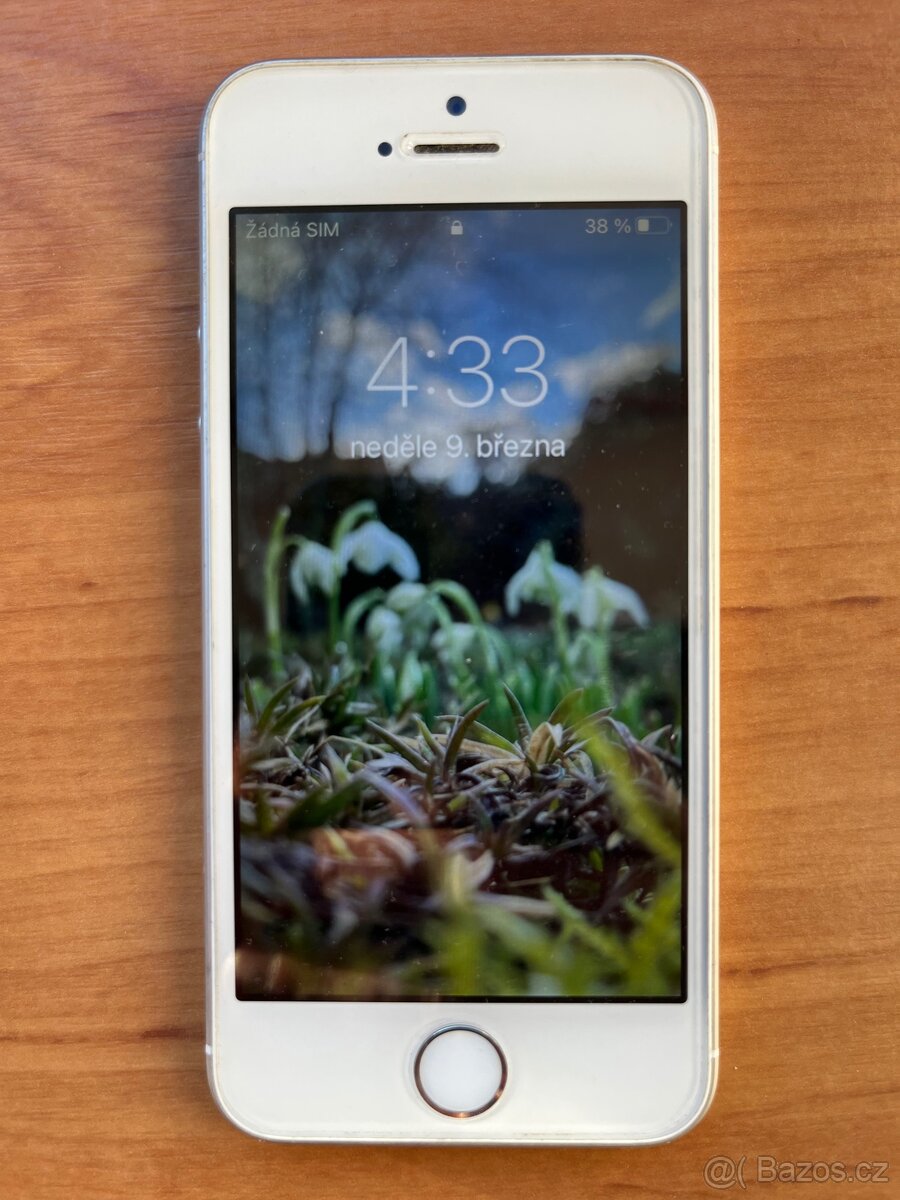 iPhone SE