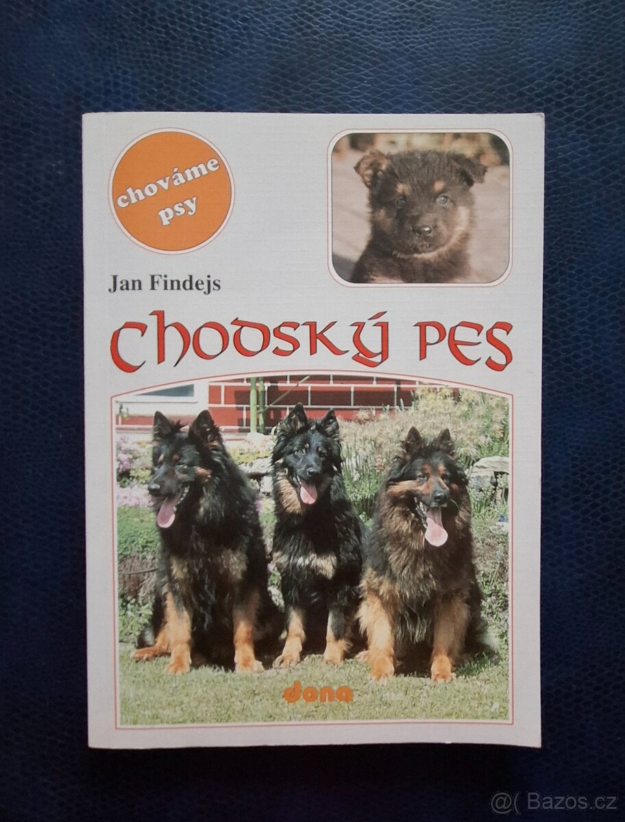 Chodský pes