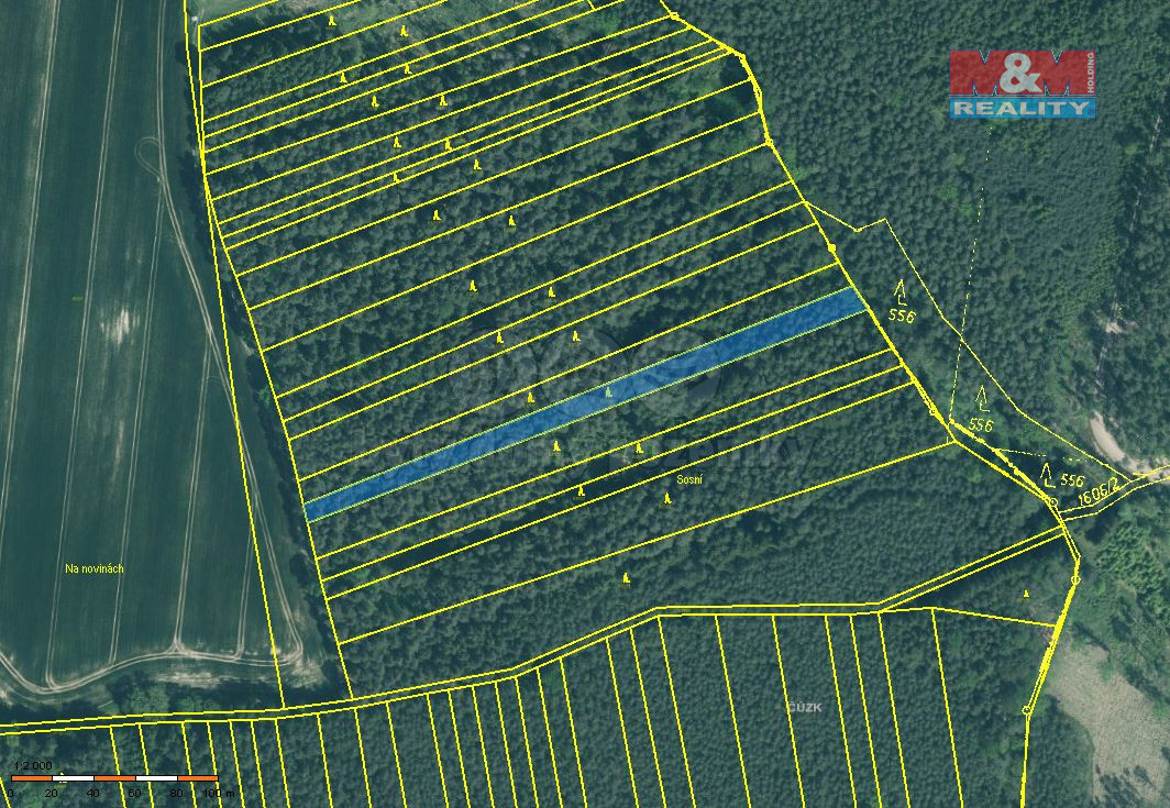 Prodej lesa, 3179 m², Bernartice