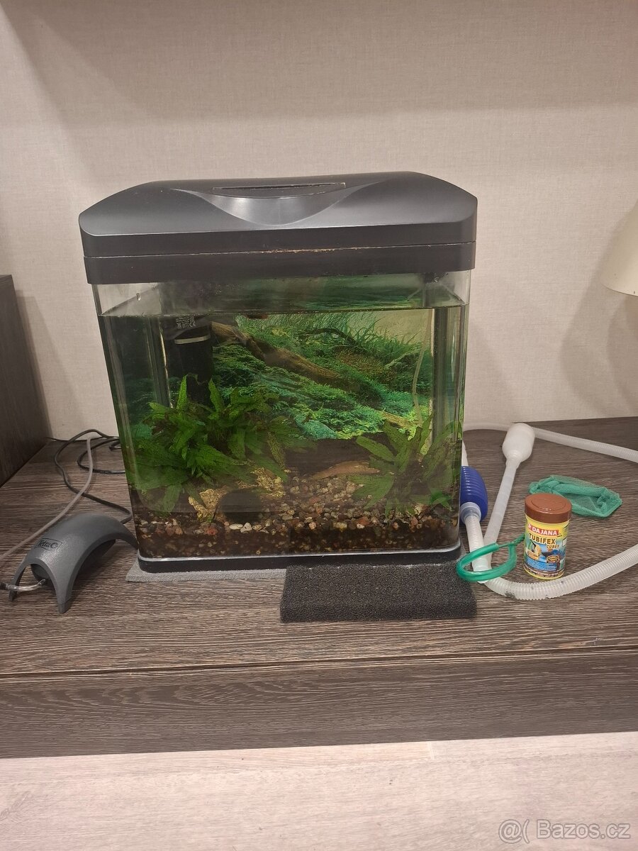 Akvárium s příslušenstvím