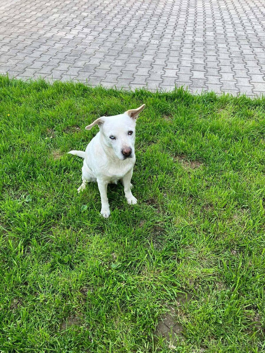 Rita, dáma na úrovni
