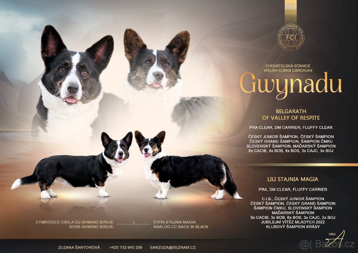 Welsh corgi cardigan