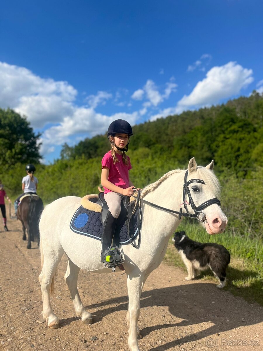 Líbivá pony klisna