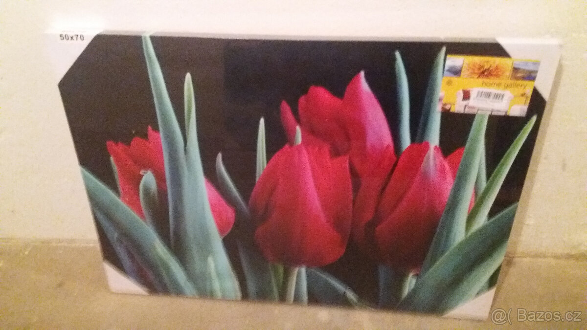 PRODÁM 2 ks foto obrazy
