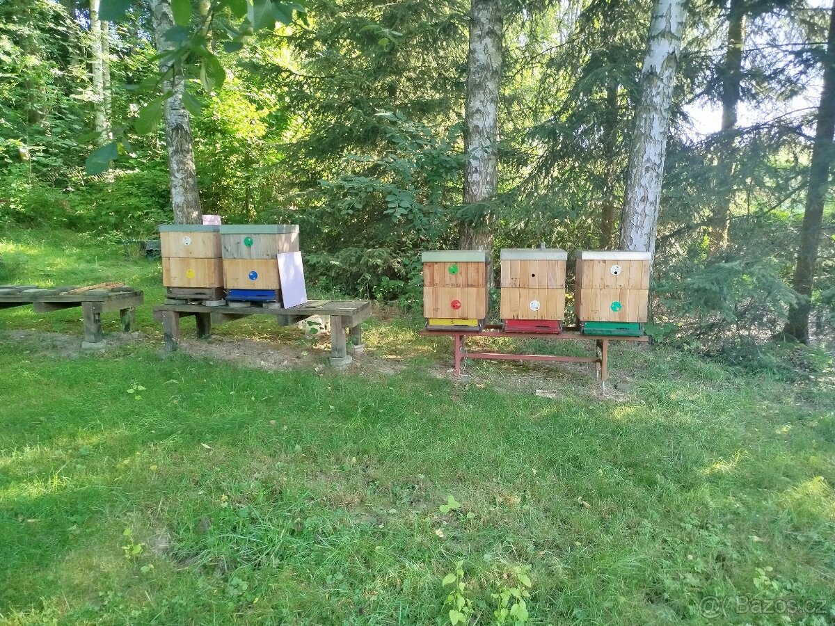 Včelí oddělky