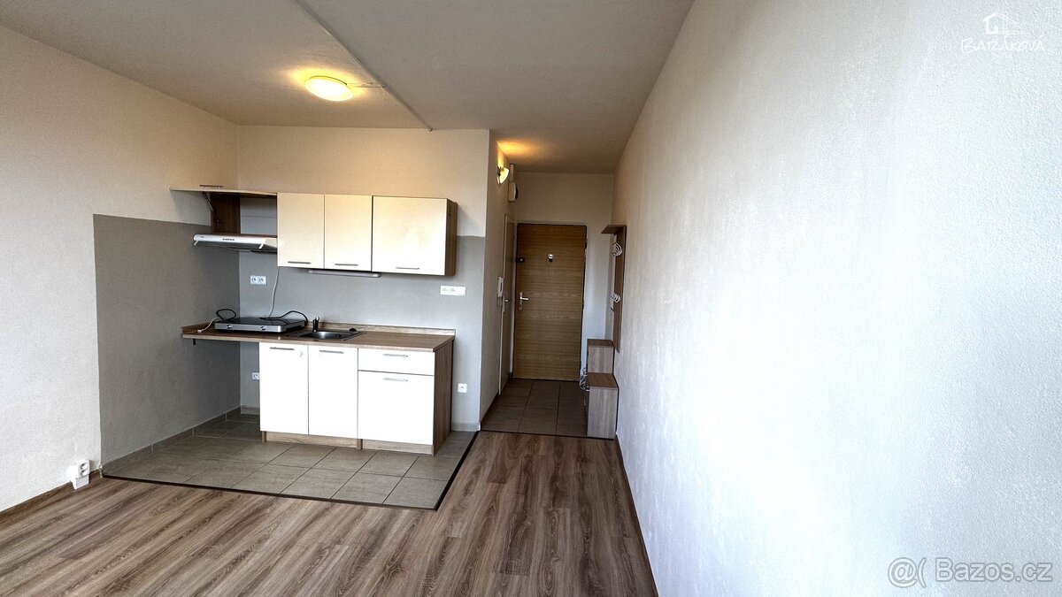 Pronájem bytu 1+kk 20 m², Plzeň - Doudlevce, ev.č. 00097