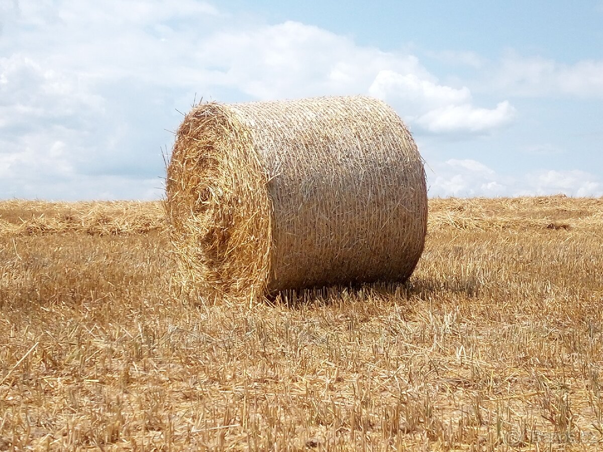 Sláma kulaté balíky