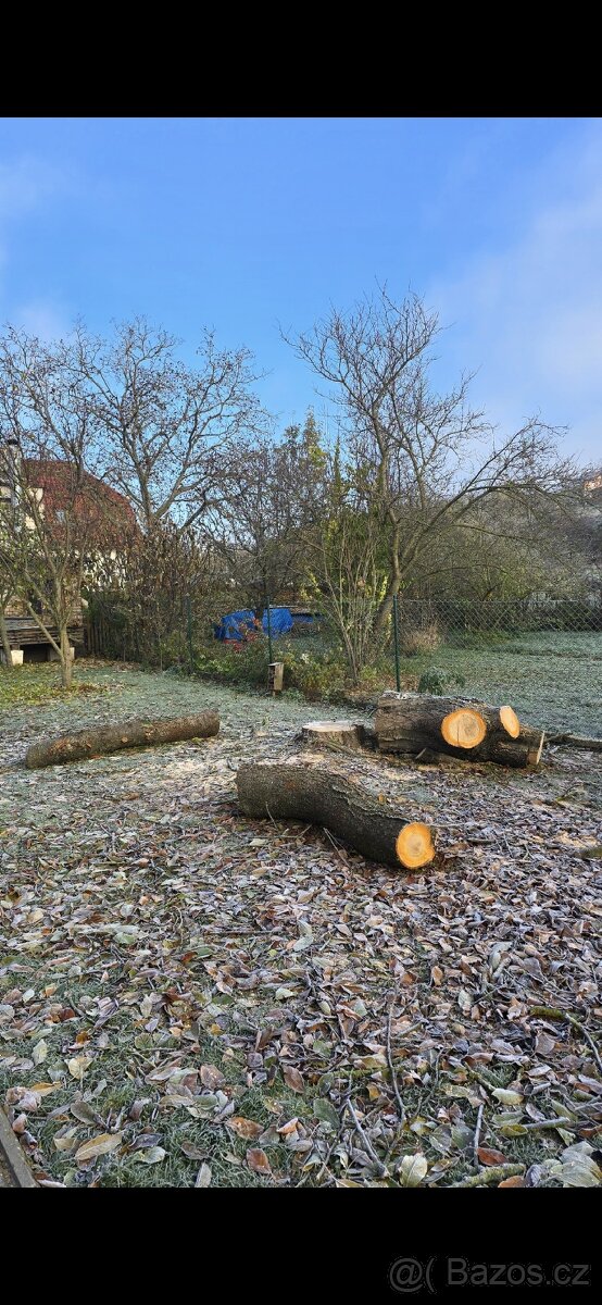 Prodam tresen na uzeni ci palivo