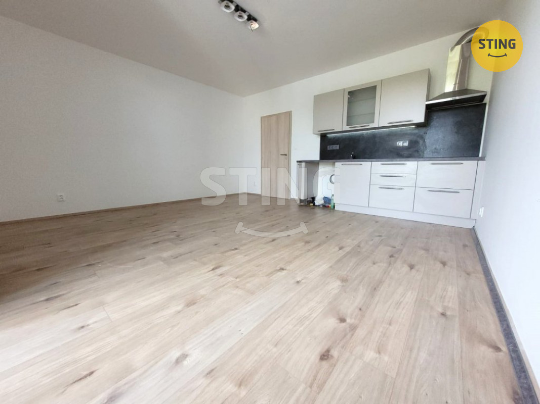 Pronájem bytu 1+kk s balkónem a krytým stáním, ul. S, 132515