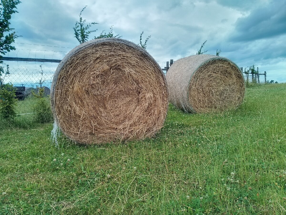 Balíky sena