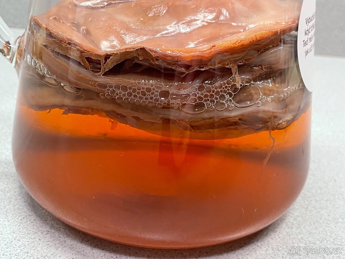 Kombucha