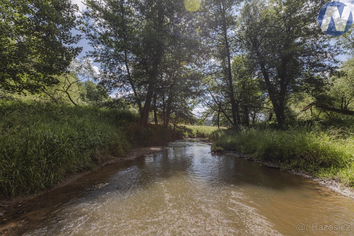 Prodej soustavy rybníků 1939 m2, Kříženec u Mariánských Lázn