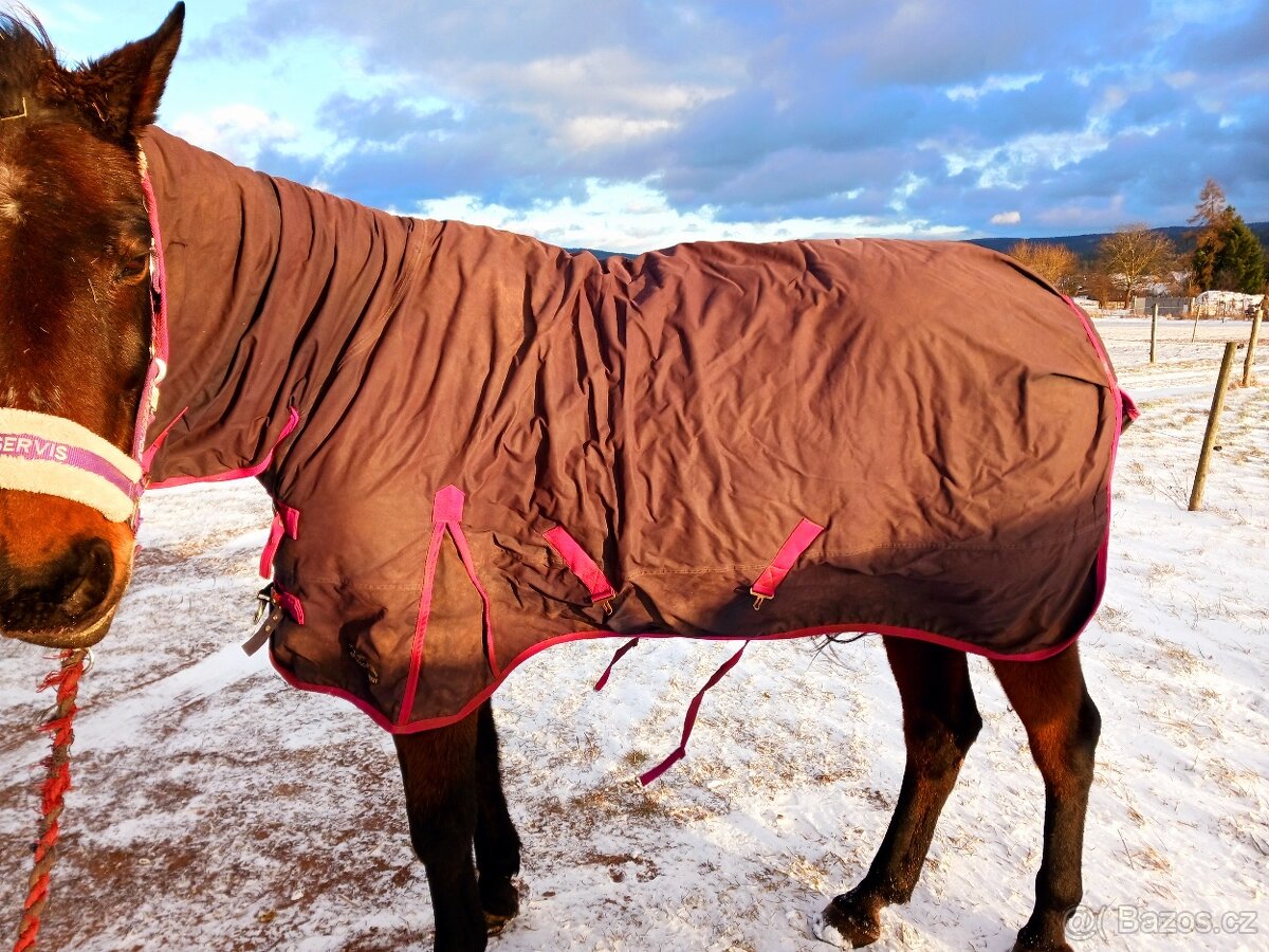 Výběhová termodeka