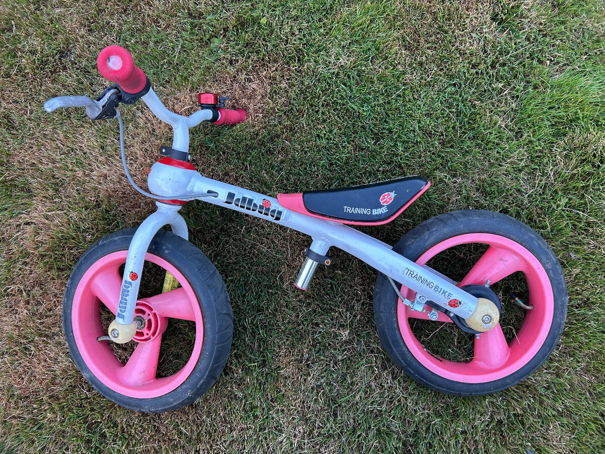 Dětské odrážedlo Jdbug 12