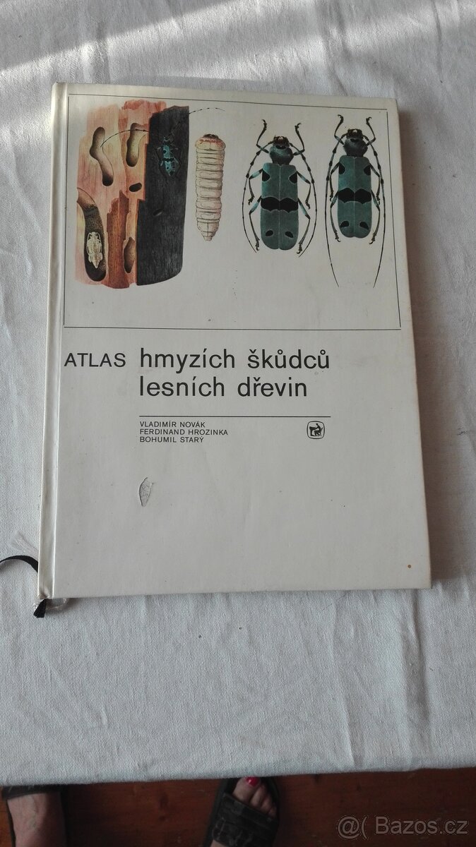 ATLAS hmyzích škůdců lesních dřevin