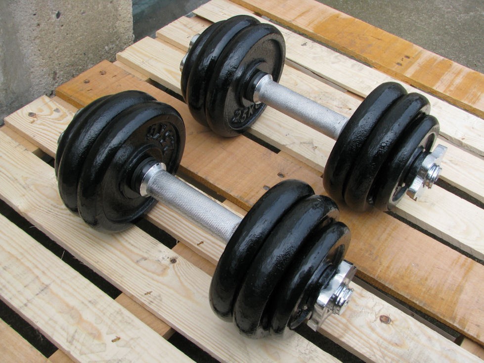 Jednoručky činky 2x15kg za 1990,-Kč - Plzeň