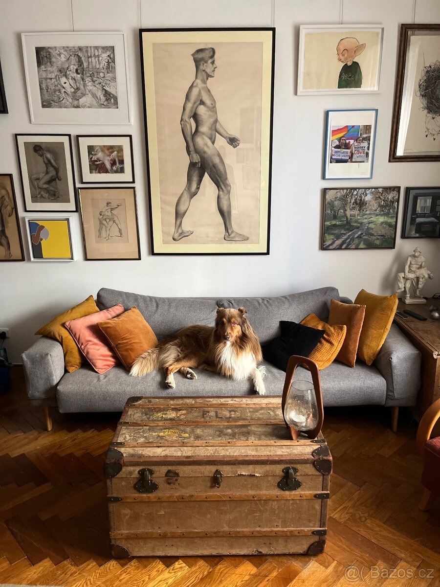 Luxusní dánská rozkládací pohovka